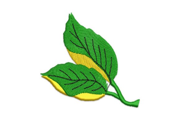 Leaf